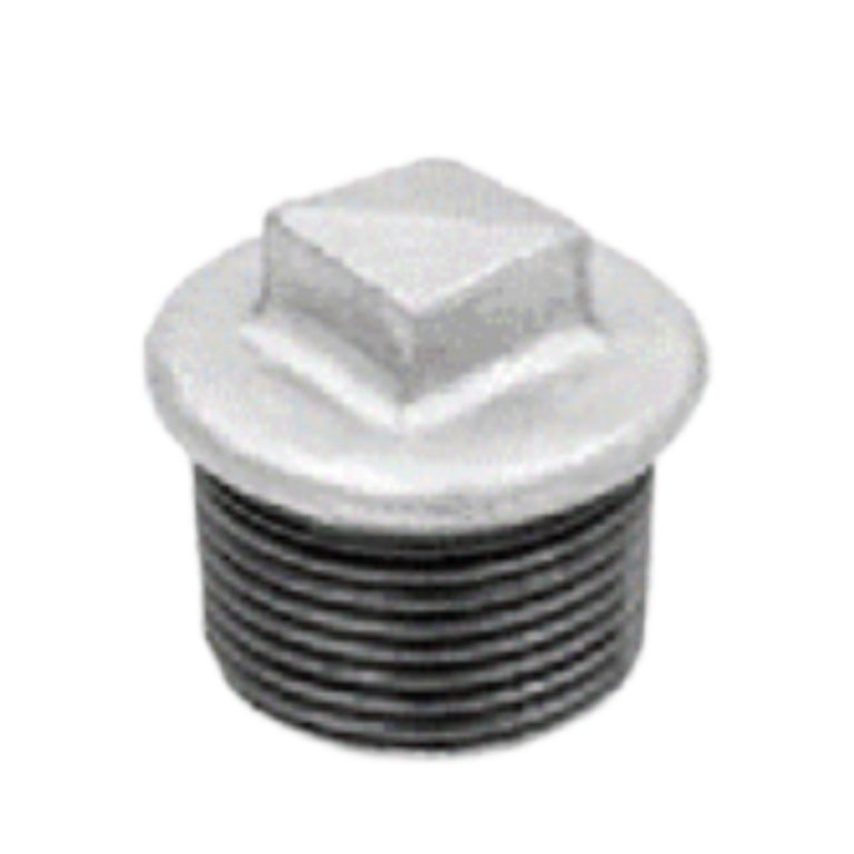 Malleable Iron Beaded Plug-Gal