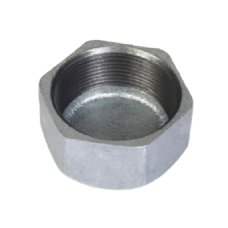 Malleable Iron Hexagon Cap-Gal