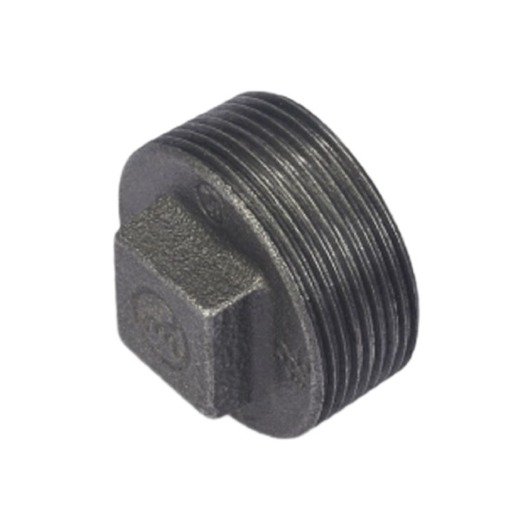 Malleable Iron Plain Plug-Black