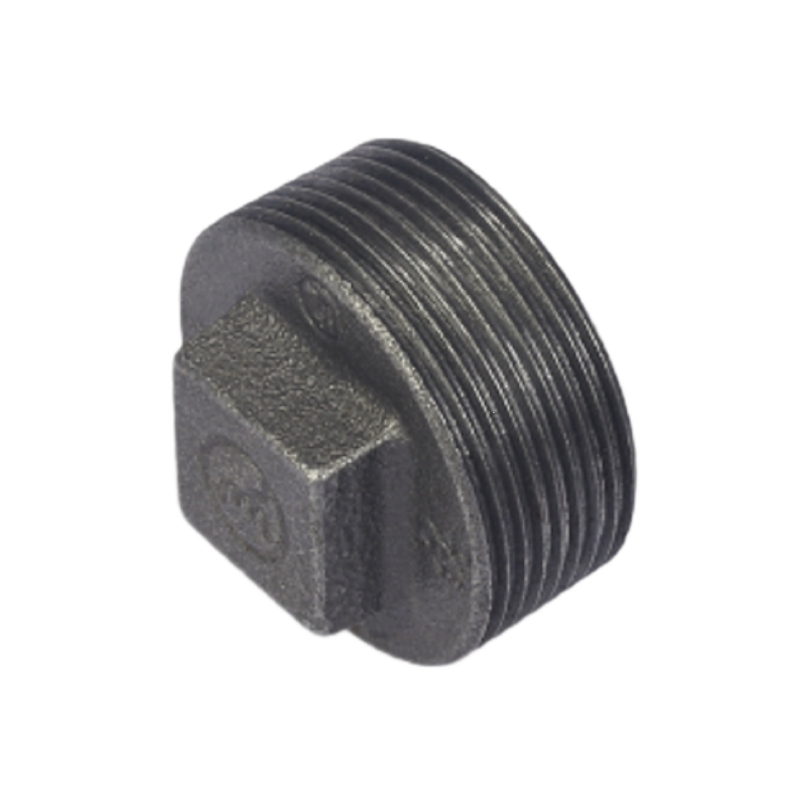 Malleable Iron Plain Plug-Black