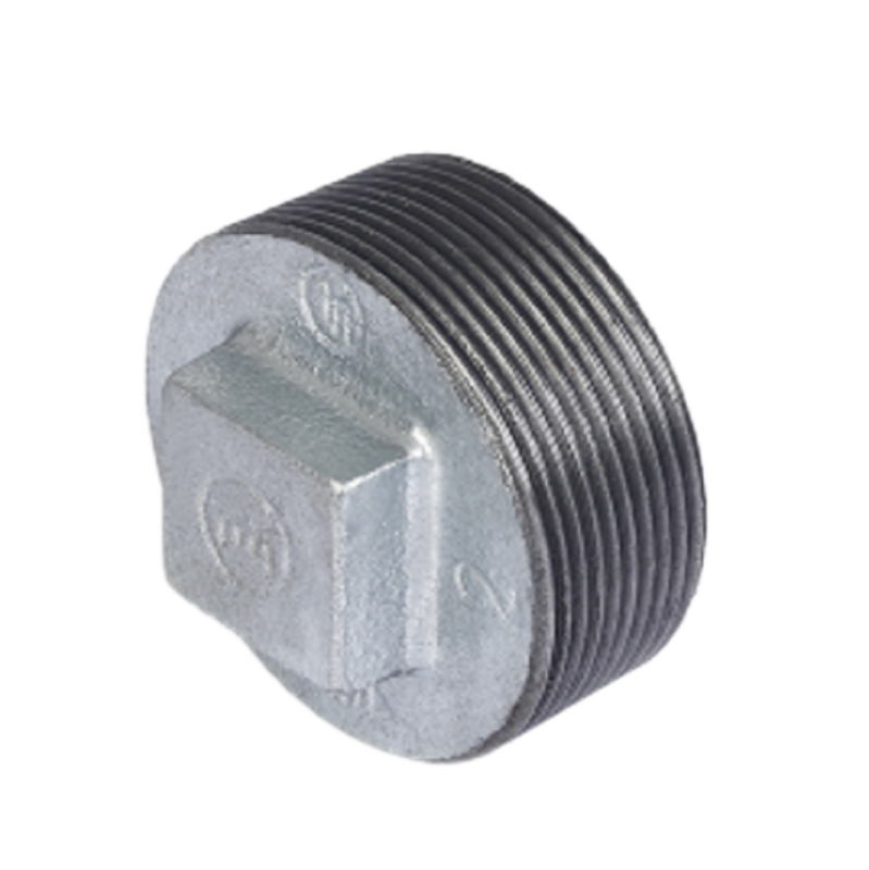 Malleable Iron Plain Plug-Gal