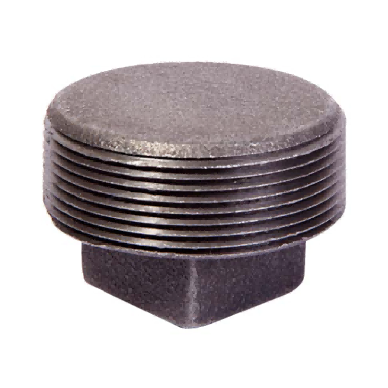 Malleable cast iron solid plug black