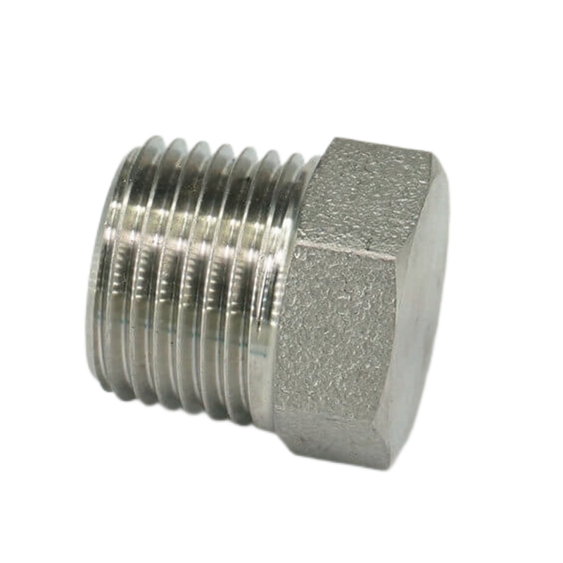 stainless steel forged plug