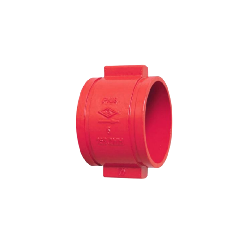 Double Door Grooved Check Valve