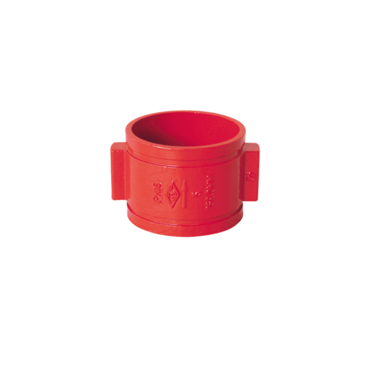 Grooved end double plate check valve