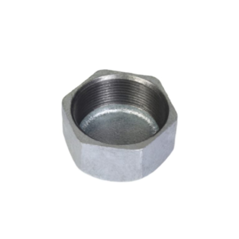 Malleable Iron Hexagon Cap-Gal