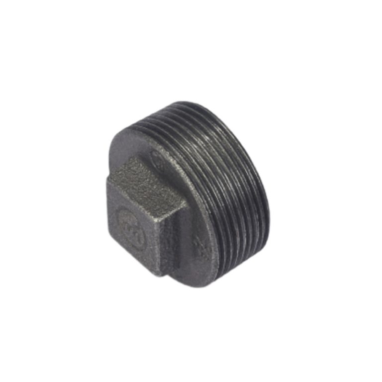 Malleable Iron Plain Plug-Black