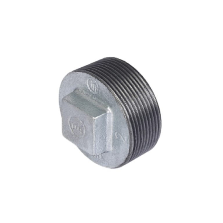 Malleable Iron Plain Plug-Gal