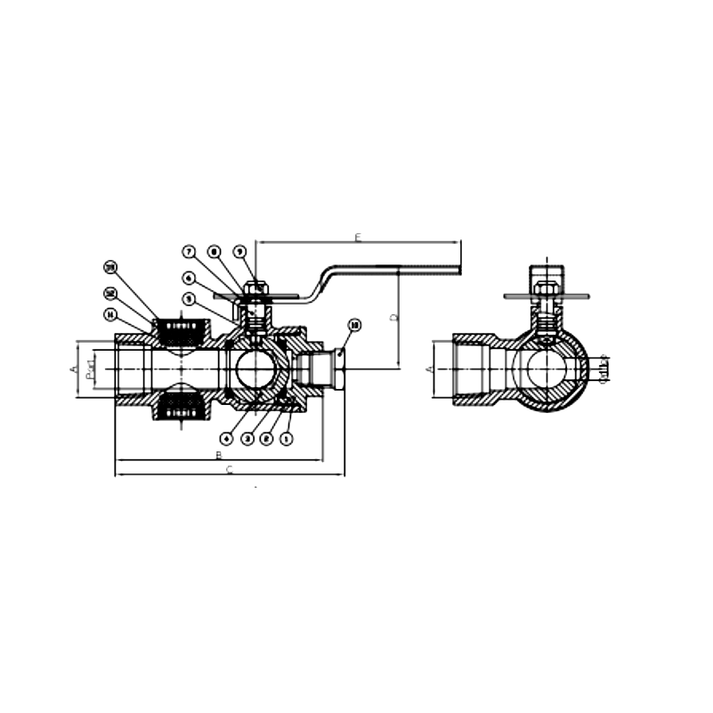 Test And Drain Valve