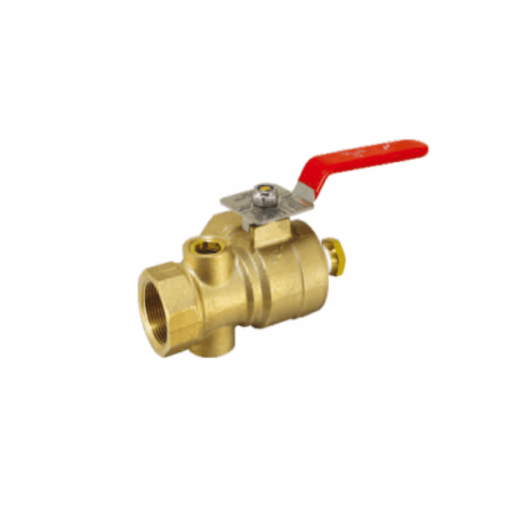 Test and drain valve