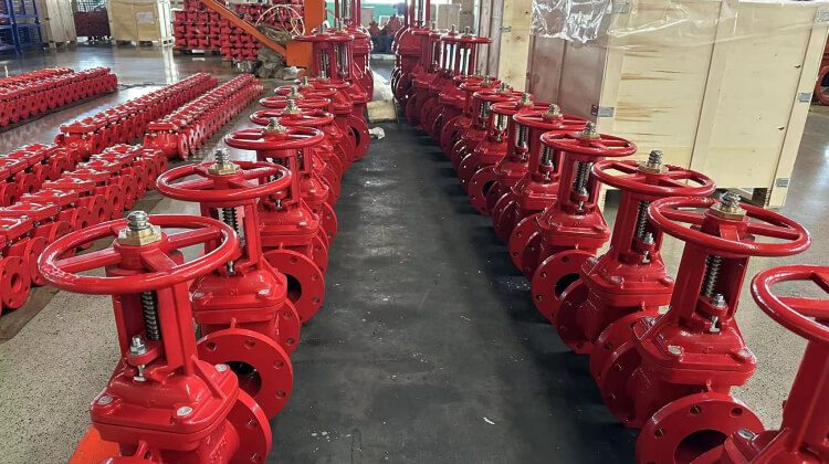 fire protection systems gate valve