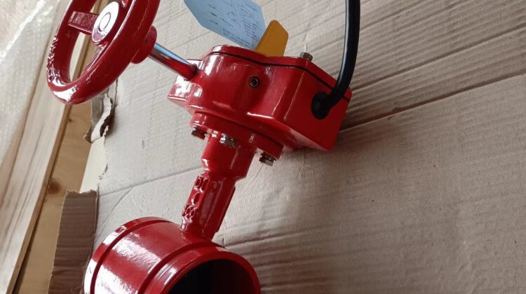 fire valves for fire protection system