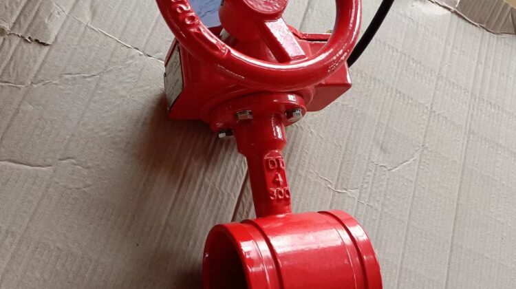 fire valves for fire protection system